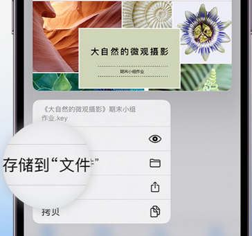 广安apple维修中心分享iPhone文件应用中存储和找到下载文件