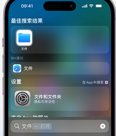 广安apple维修中心分享iPhone文件应用中存储和找到下载文件 