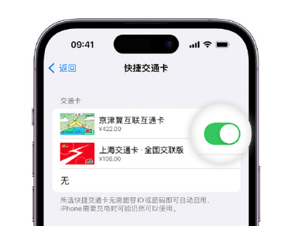 广安apple维修点分享iPhone上更换Apple Pay快捷交通卡手绘卡面 