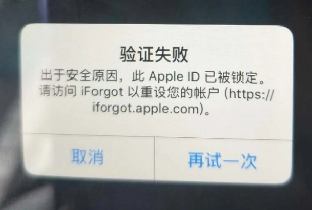 广安iPhone维修分享iPhone上正常登录或使用AppleID怎么办 