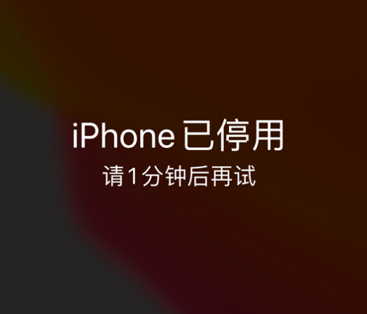 广安苹果手机维修分享:iPhone 显示“不可用”或“已停用”怎么办？还能保留数据吗？ 