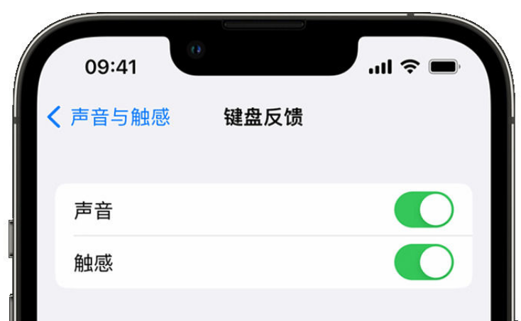 广安苹果手机维修分享iPhone 14触感键盘使用方法 