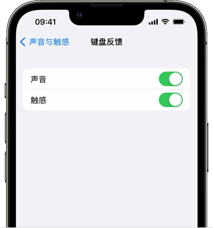 广安苹果14维修店分享如何在 iPhone 14 机型中使用触感键盘 