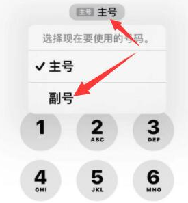 广安苹果14维修店分享iPhone 14 Pro Max使用副卡打电话的方法 