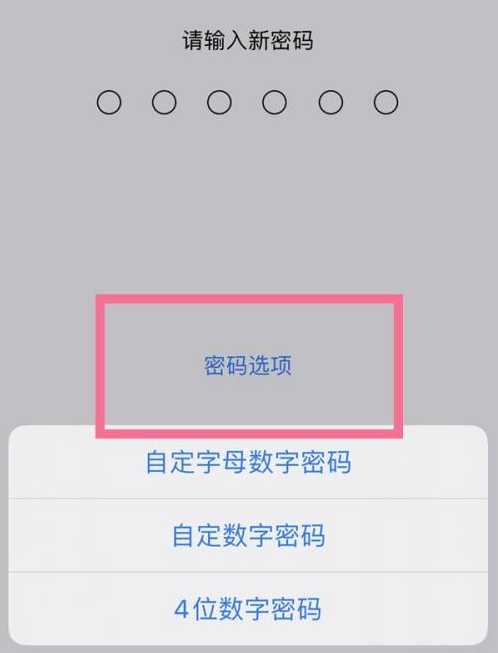 广安苹果14维修分享iPhone 14plus设置密码的方法 