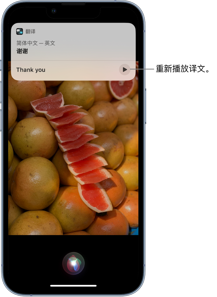 广安苹果14维修分享 iPhone 14 机型中使用 Siri：了解 Siri 能帮你做什么 