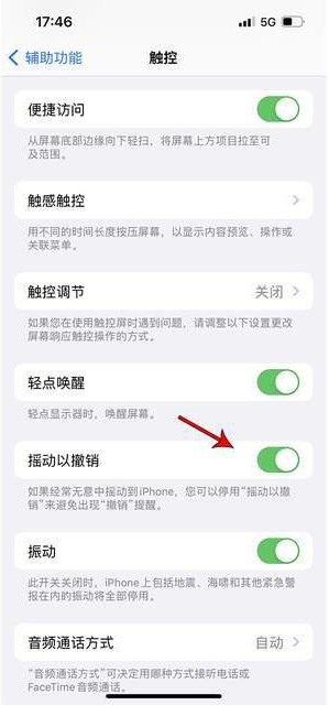 广安苹果手机维修分享iPhone手机如何设置摇一摇删除文字 