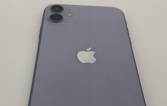广安苹果11系统维修分享iPhone11手机系统崩溃无法开机如何解决 
